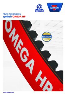 thumbnail of 2A-06_01O_omega_HP_beham